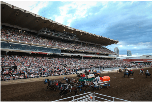 Calgary Stampede chuckwagon race in a packed stadium Calgary Stampede chuckwagon race in a packed stadium