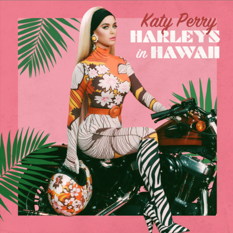 "Harleys in Hawaii" "Harleys in Hawaii"